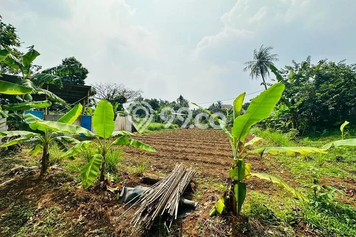 Tanah Kavling untuk Dijual di Cilodong Depok 906m2 Tanah Kavling untuk Dijual di Cilodong Depok 906m2