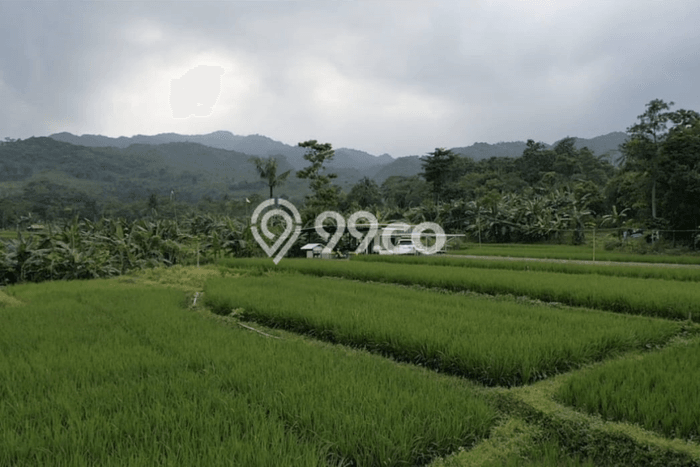 Untuk Dijual Tanah 4020m2 di Klapanunggal, Bogor Untuk Dijual Tanah 4020m2 di Klapanunggal, Bogor