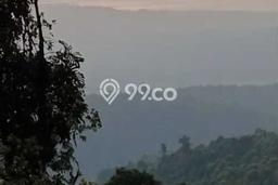 Dijual Tanah Lokasi Gesing, Buleleng Seluas 15600m2 Dijual Tanah Lokasi Gesing, Buleleng Seluas 15600m2
