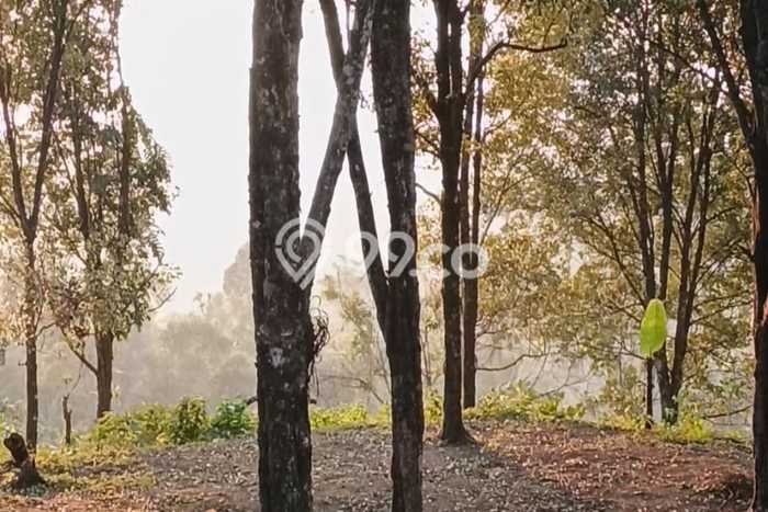 Tanah Dijual Area Strategis di Bedugul Tabanan 30000m2 Tanah Dijual Area Strategis di Bedugul Tabanan 30000m2