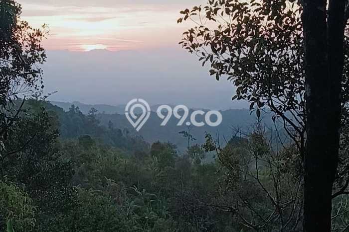 Tanah Dijual Area Strategis di Bedugul Tabanan 30000m2 Tanah Dijual Area Strategis di Bedugul Tabanan 30000m2