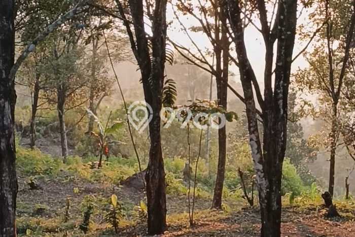 Tanah Dijual Area Strategis di Bedugul Tabanan 30000m2 Tanah Dijual Area Strategis di Bedugul Tabanan 30000m2