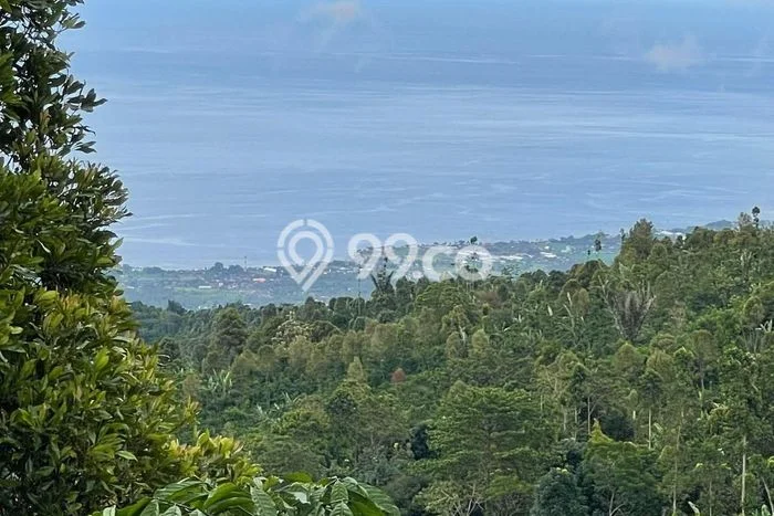 Dijual Tanah Lokasi Munduk, Buleleng Seluas 18600m2 Dijual Tanah Lokasi Munduk, Buleleng Seluas 18600m2