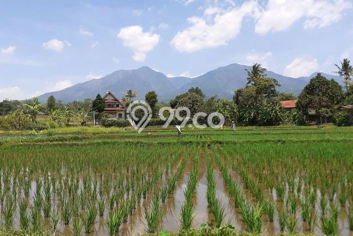 LOKASI STRATEGIS! Vila di Cimaung, Area 7485m2m², Area Berkembang LOKASI STRATEGIS! Vila di Cimaung, Area 7485m2m², Area Berkembang