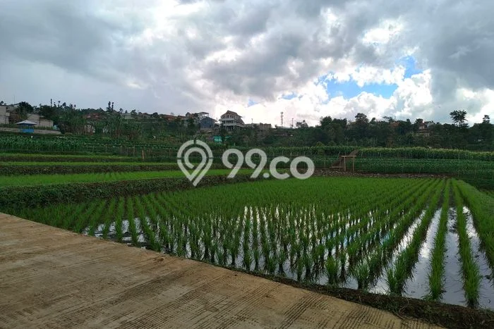 Tanah Strategis Dijual di Banjaran Bandung 560m2 Tanah Strategis Dijual di Banjaran Bandung 560m2
