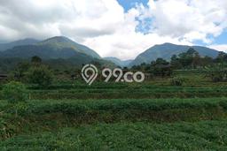 Jarang Ada! Tanah di Pangalengan Punya Luas 1456m2 SHM Jarang Ada! Tanah di Pangalengan Punya Luas 1456m2 SHM