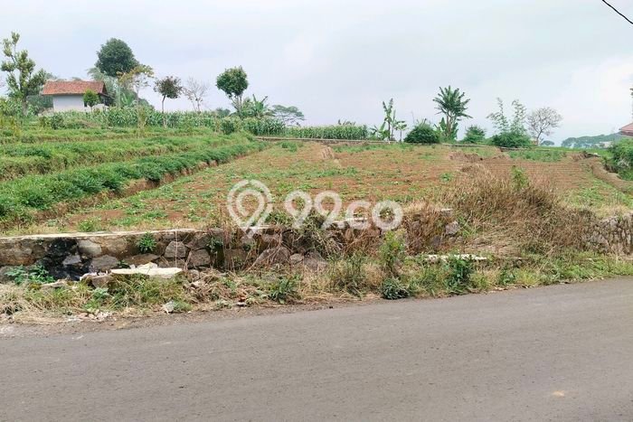 Tanah Strategis Dijual di Banjaran Bandung 1288m2 Tanah Strategis Dijual di Banjaran Bandung 1288m2
