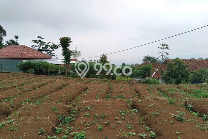 Tanah Strategis Dijual di Banjaran Bandung 1288m2 Tanah Strategis Dijual di Banjaran Bandung 1288m2