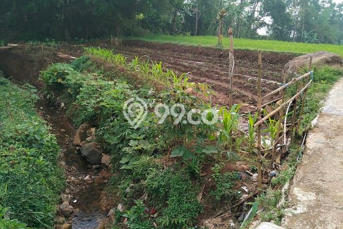 Tanah Dijual Lokasi Banjaran, Bandung Luas 238m2 Legalitas Aman Tanah Dijual Lokasi Banjaran, Bandung Luas 238m2 Legalitas Aman