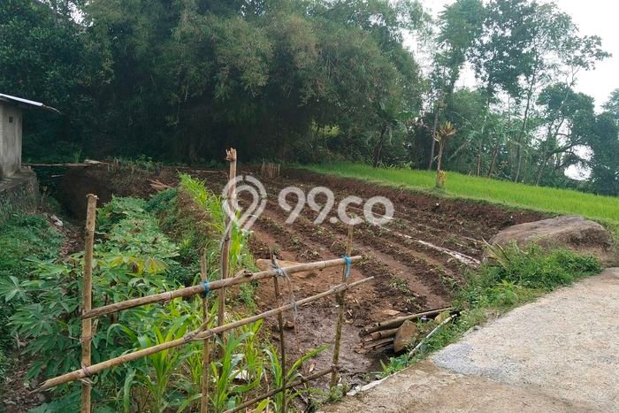 Tanah Dijual Lokasi Banjaran, Bandung Luas 238m2 Legalitas Aman Tanah Dijual Lokasi Banjaran, Bandung Luas 238m2 Legalitas Aman
