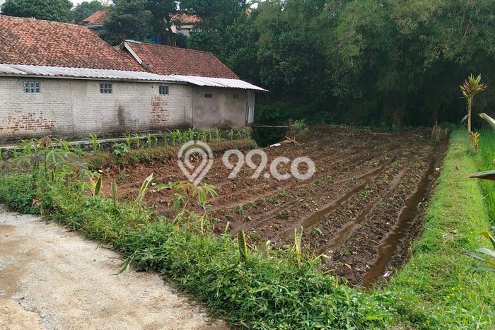 Tanah Dijual Lokasi Banjaran, Bandung Luas 238m2 Legalitas Aman Tanah Dijual Lokasi Banjaran, Bandung Luas 238m2 Legalitas Aman