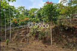 Untuk Dijual Tanah di Lembang Bandung Barat Luas 3986m2 SHM Untuk Dijual Tanah di Lembang Bandung Barat Luas 3986m2 SHM
