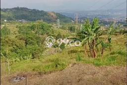 Lahan untuk Dijual di Cimenyan Bandung Luas 500m2 Lahan untuk Dijual di Cimenyan Bandung Luas 500m2