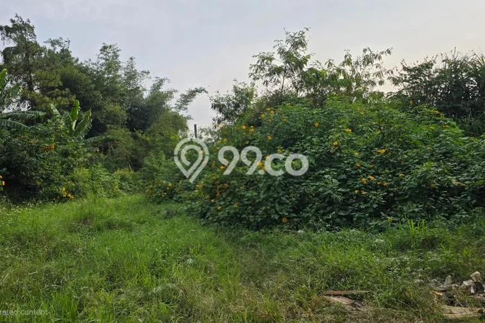Lahan untuk Dijual Lokasi Batujajar, Bandung Barat Luas 43000m2 SHM Lahan untuk Dijual Lokasi Batujajar, Bandung Barat Luas 43000m2 SHM