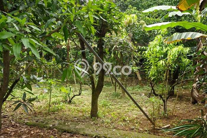 Dijual Tanah Lokasi BSD Griya Loka, Tangerang Seluas 342m2 Dijual Tanah Lokasi BSD Griya Loka, Tangerang Seluas 342m2