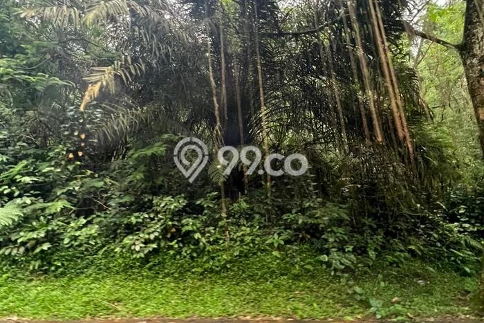 Kavling Tanah Dijual di Megamendung Bogor Spesifikasi 2380m2 Kavling Tanah Dijual di Megamendung Bogor Spesifikasi 2380m2