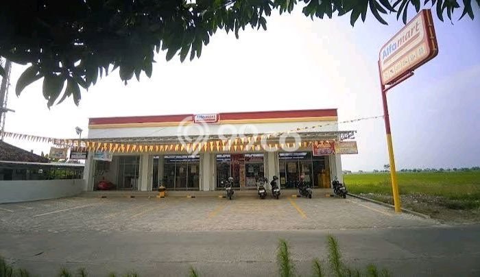 Lokasi Strategis! Dijual Ruko Bisnis di Sragi, Pekalongan Kondisi Baik Lokasi Strategis! Dijual Ruko Bisnis di Sragi, Pekalongan Kondisi Baik