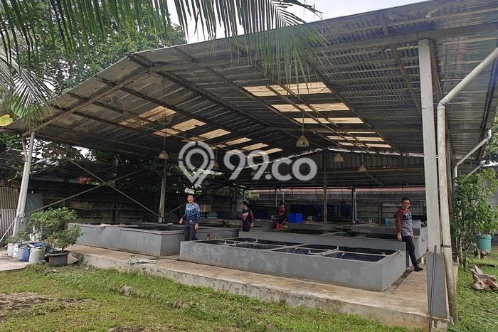 Gudang disewakan lokasi strategis Cisauk Tangerang 270m2 Gudang disewakan lokasi strategis Cisauk Tangerang 270m2