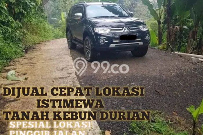 Tanah Komersial Dijual di Limbangan Kendal 6500m2 Tanah Komersial Dijual di Limbangan Kendal 6500m2