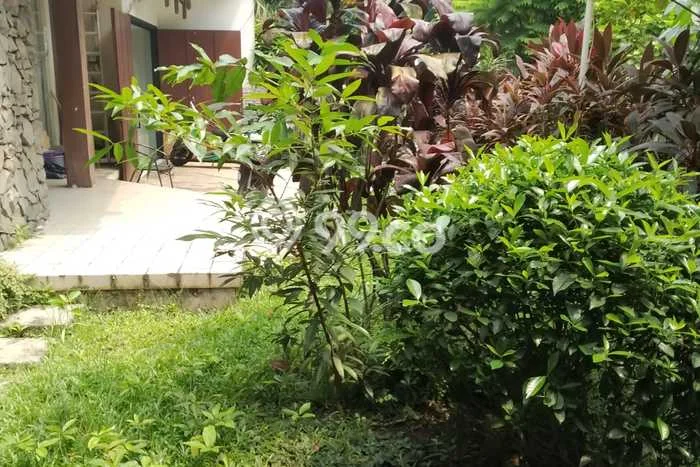 Rumah Elit LB 267m2 Siap Pakai Desain Elegan di Lebak Bulus, Jakarta Selatan Rumah Elit LB 267m2 Siap Pakai Desain Elegan di Lebak Bulus, Jakarta Selatan
