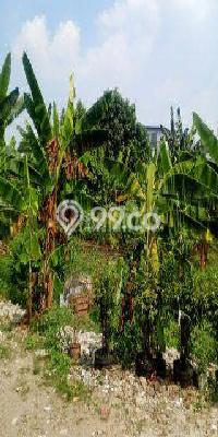 Untuk Dijual Tanah 5000m2 di Pondok Cabe, Tangerang Untuk Dijual Tanah 5000m2 di Pondok Cabe, Tangerang
