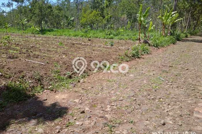 Tanah di Prigen, Pasuruan Luas 9292m2 Dijual Segera Tanah di Prigen, Pasuruan Luas 9292m2 Dijual Segera