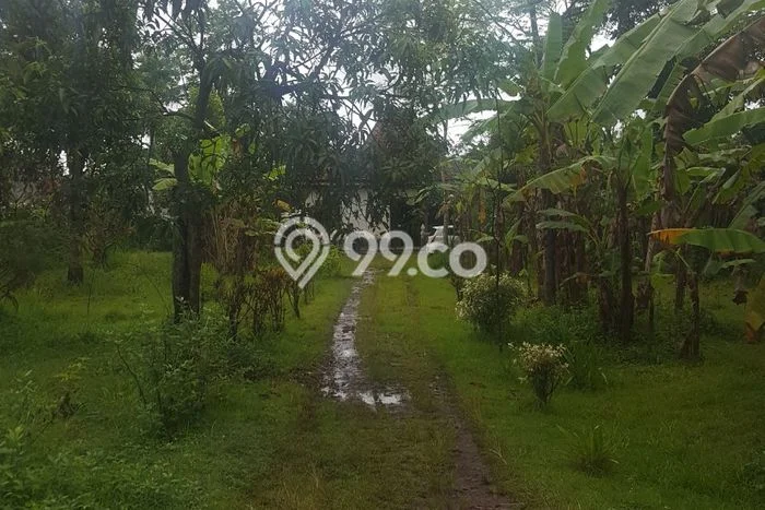 Kavling Tanah Dijual di Purworejo Purworejo Spesifikasi 3026m2 Kavling Tanah Dijual di Purworejo Purworejo Spesifikasi 3026m2