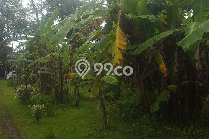 Kavling Tanah Dijual di Purworejo Purworejo Spesifikasi 3026m2 Kavling Tanah Dijual di Purworejo Purworejo Spesifikasi 3026m2