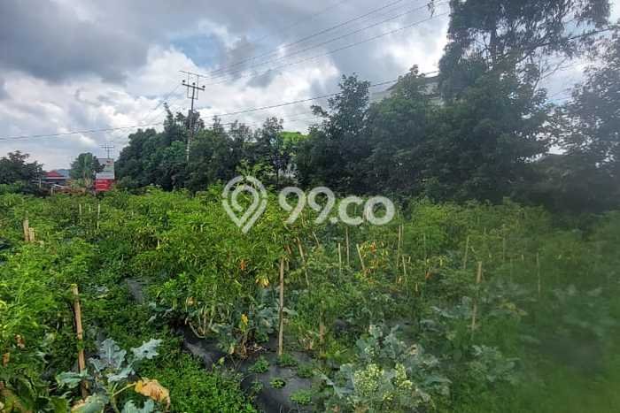 Jarang Ada! Tanah Kavling Disewakan di Bandung 3100m2 Jarang Ada! Tanah Kavling Disewakan di Bandung 3100m2