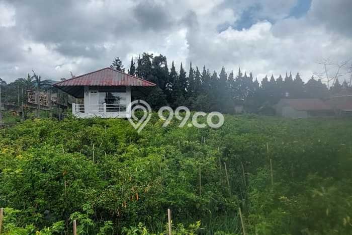 Jarang Ada! Tanah Kavling Disewakan di Bandung 3100m2 Jarang Ada! Tanah Kavling Disewakan di Bandung 3100m2