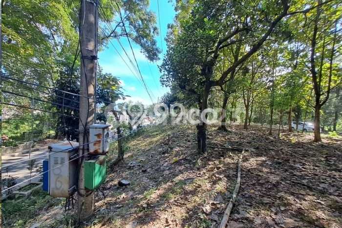 Untuk Dijual Tanah di Subang, Luas 24377m2 SHM Untuk Dijual Tanah di Subang, Luas 24377m2 SHM