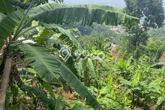 Tanah Dijual Lokasi Cilengkrang, Bandung Luas 2313m2 Legalitas Aman Tanah Dijual Lokasi Cilengkrang, Bandung Luas 2313m2 Legalitas Aman