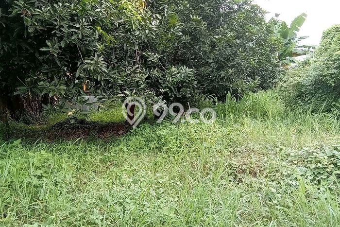 Dijual Tanah Lokasi Pondok Kelapa, Jakarta Timur Seluas 310m2 Dijual Tanah Lokasi Pondok Kelapa, Jakarta Timur Seluas 310m2