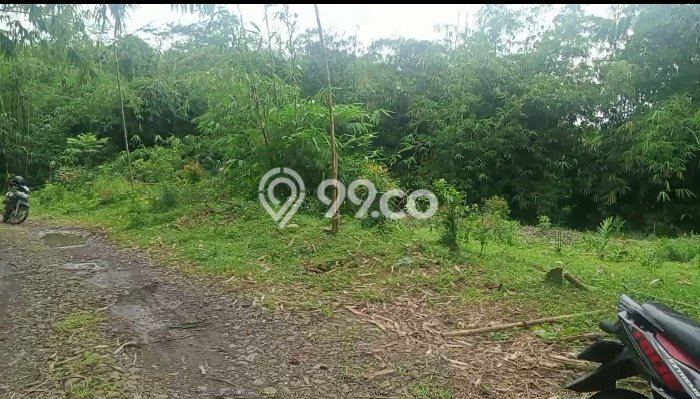 Tanah Dijual Lokasi Jasinga Bogor SHM Tanah Dijual Lokasi Jasinga Bogor SHM