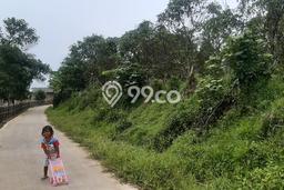 Kavling Tanah di Jasinga Dijual Luas 7359m2 Legalitas SHM Kavling Tanah di Jasinga Dijual Luas 7359m2 Legalitas SHM