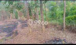 Tanah di Jasinga, Luas 4600m2m², Akses Jasinga, Bogor, Bogor Tanah di Jasinga, Luas 4600m2m², Akses Jasinga, Bogor, Bogor