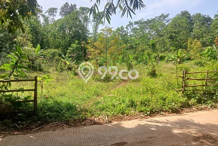 Lahan untuk Dijual Lokasi Jasinga, Bogor Luas 1302m2 SHM Lahan untuk Dijual Lokasi Jasinga, Bogor Luas 1302m2 SHM