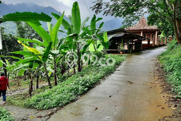 Tanah Dijual Lokasi Karawang Barat, Karawang dengan Luas Tanah 5104m2 dan Status SHM Tanah Dijual Lokasi Karawang Barat, Karawang dengan Luas Tanah 5104m2 dan Status SHM