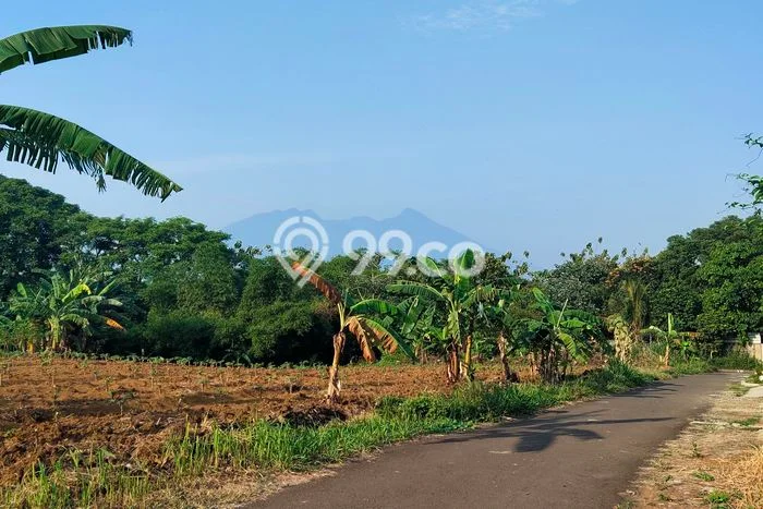 Tanah Investasi Dijual di Bogor Punya Luas 530m2 Tanah Investasi Dijual di Bogor Punya Luas 530m2
