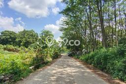 Jarang Ada! Tanah di Citeureup Punya Luas 1597m2 SHM Jarang Ada! Tanah di Citeureup Punya Luas 1597m2 SHM