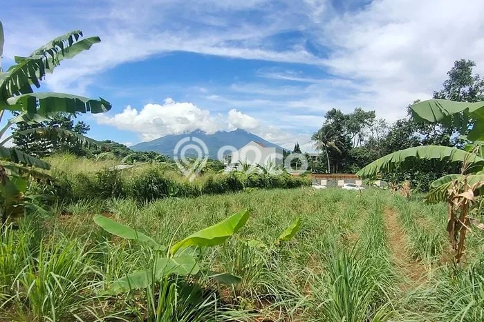 Tanah Dijual Area Strategis di Pakuan Bogor 400m2 Tanah Dijual Area Strategis di Pakuan Bogor 400m2