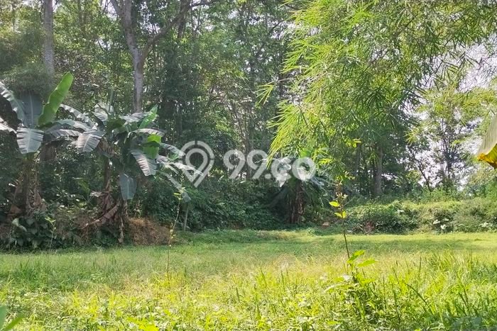 Lahan Dijual Lokasi Strategis di Bogor dengan Luas 850m2 Lahan Dijual Lokasi Strategis di Bogor dengan Luas 850m2