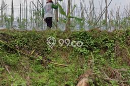 Tanah Kavling untuk Dijual di Jampang Kulon Sukabumi 5015m2 Tanah Kavling untuk Dijual di Jampang Kulon Sukabumi 5015m2