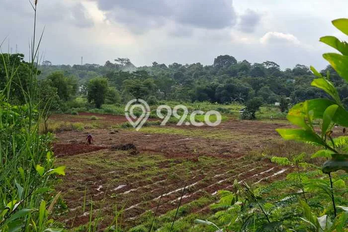 Kavling Tanah Dijual di Karawang Timur Karawang Spesifikasi 50000m2 Kavling Tanah Dijual di Karawang Timur Karawang Spesifikasi 50000m2