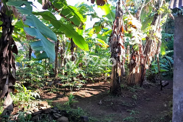 Dijual Tanah Lokasi Majalengka Kota, Majalengka Seluas 900m2 Dijual Tanah Lokasi Majalengka Kota, Majalengka Seluas 900m2
