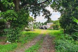 Lahan Strategis di Bogor Utara Dijual dengan Luas 6363m2 Lahan Strategis di Bogor Utara Dijual dengan Luas 6363m2