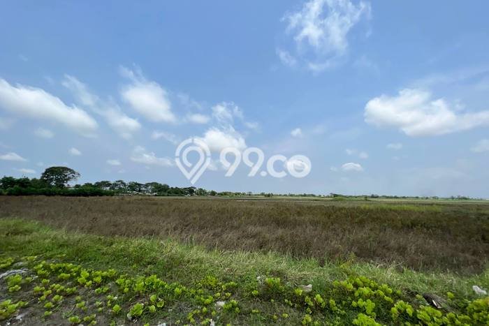 Lahan untuk Dijual di Sepatan Tangerang Luas 77000m2 Lahan untuk Dijual di Sepatan Tangerang Luas 77000m2