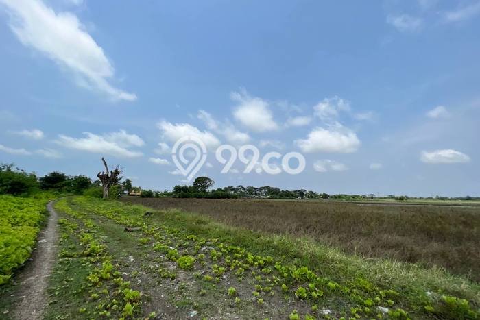Lahan untuk Dijual di Sepatan Tangerang Luas 77000m2 Lahan untuk Dijual di Sepatan Tangerang Luas 77000m2
