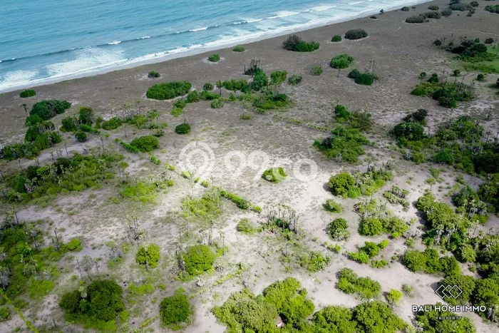 Dijual Tanah di Sumbawa Sumbawa Luas 20000m2 SHM Dijual Tanah di Sumbawa Sumbawa Luas 20000m2 SHM