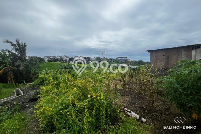 Dijual Tanah Lokasi Cemagi, Badung Seluas 600m2 Dijual Tanah Lokasi Cemagi, Badung Seluas 600m2